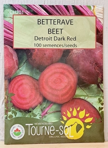 SEEDS - Beet Detroit Dark Red (Tourne-sol)